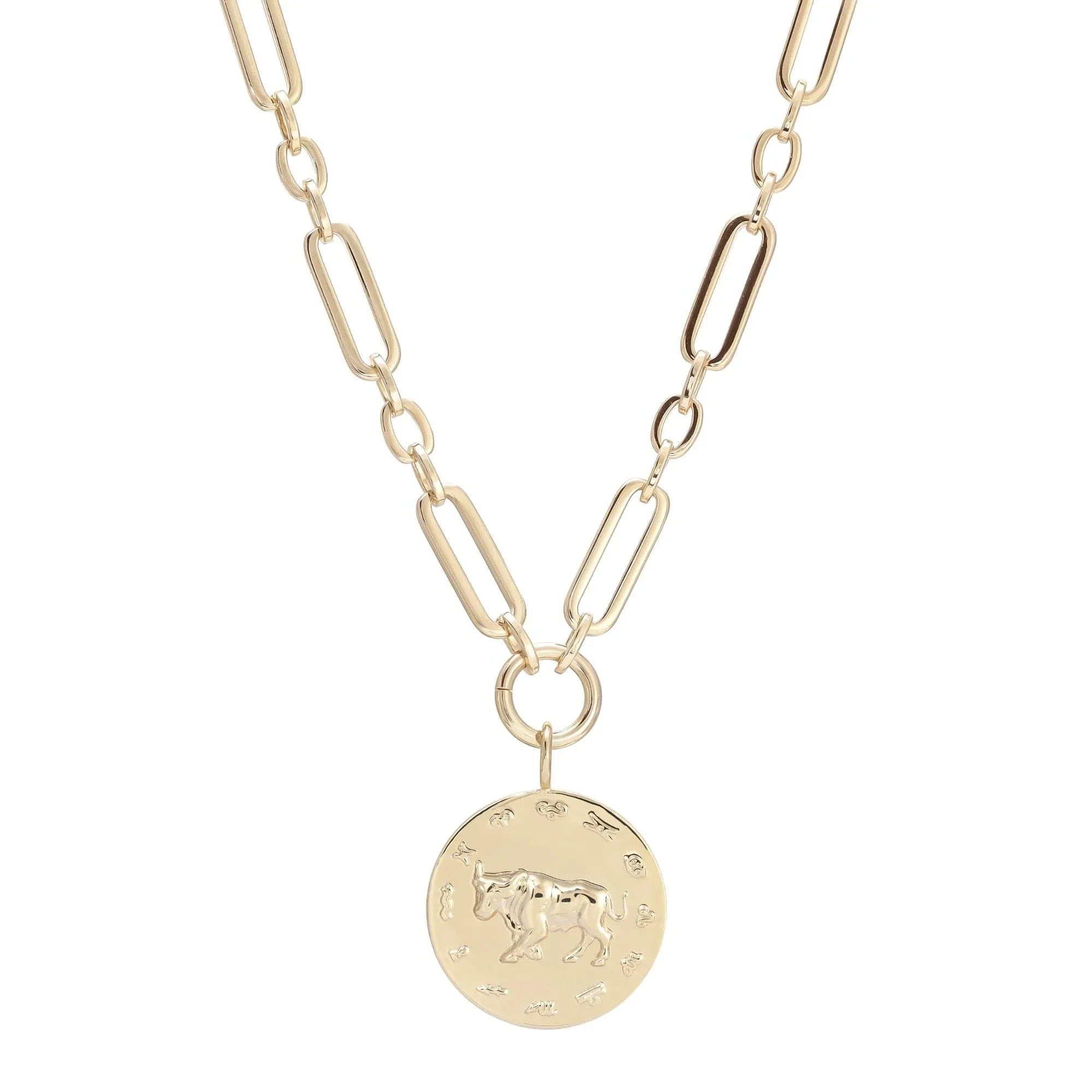 Gold-toned chain necklace with Zodiac pendant perfect for astrology lovers