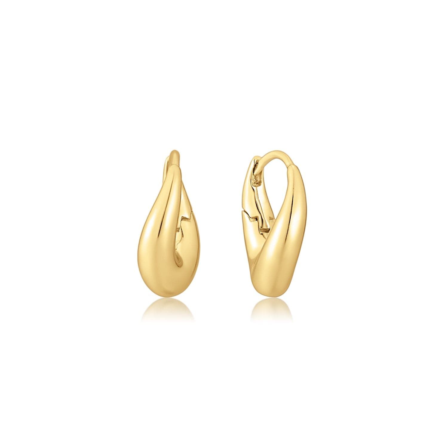 a pair of gold earrings on a white background