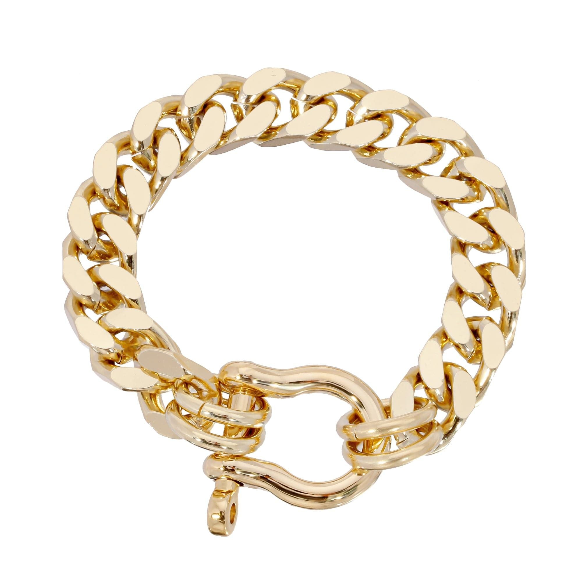 Gold-toned Roxy Anklet features a curb chain design and a horseshoe clasp