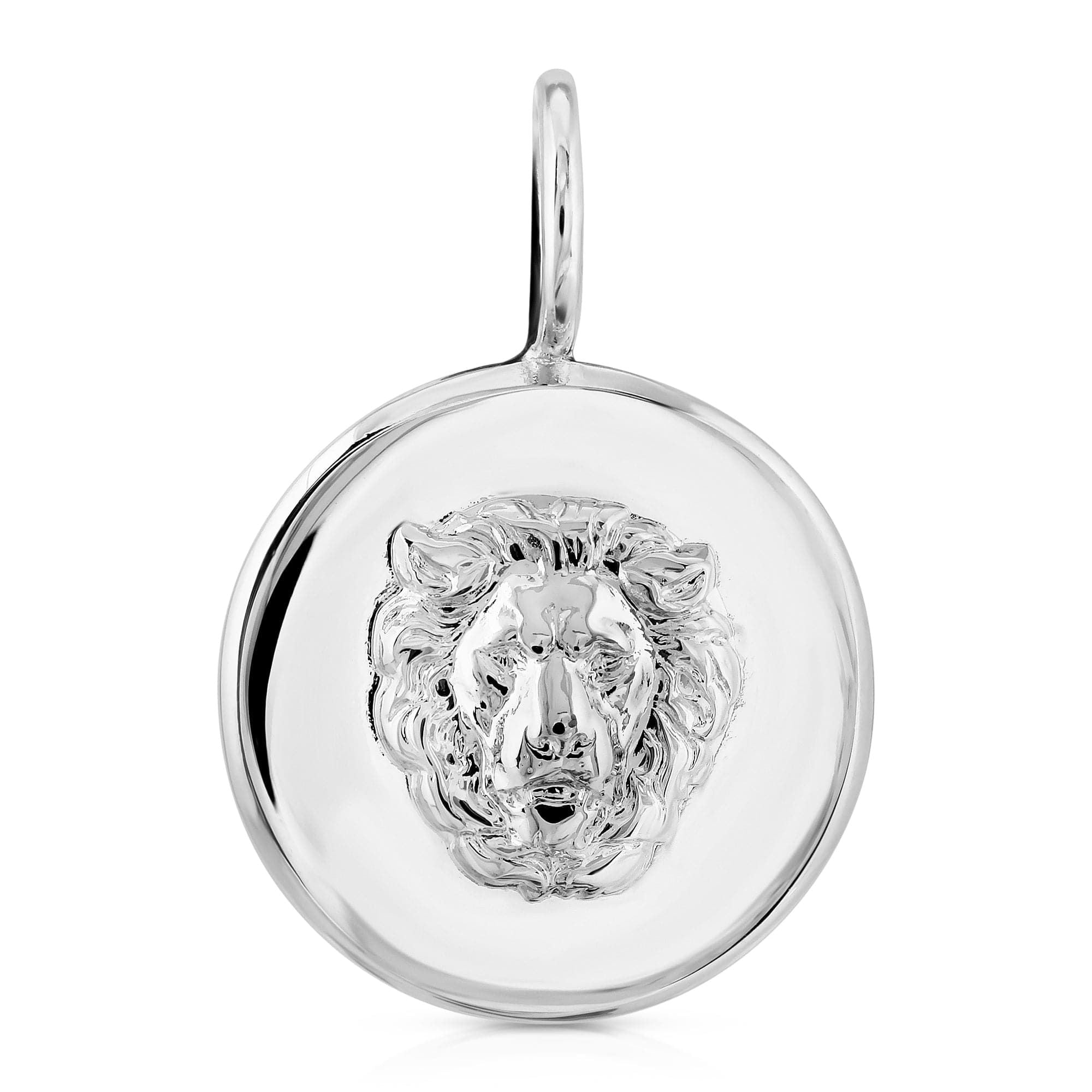 Silver Leni Pendant featuring a detailed lion head pendant with brass plated accents